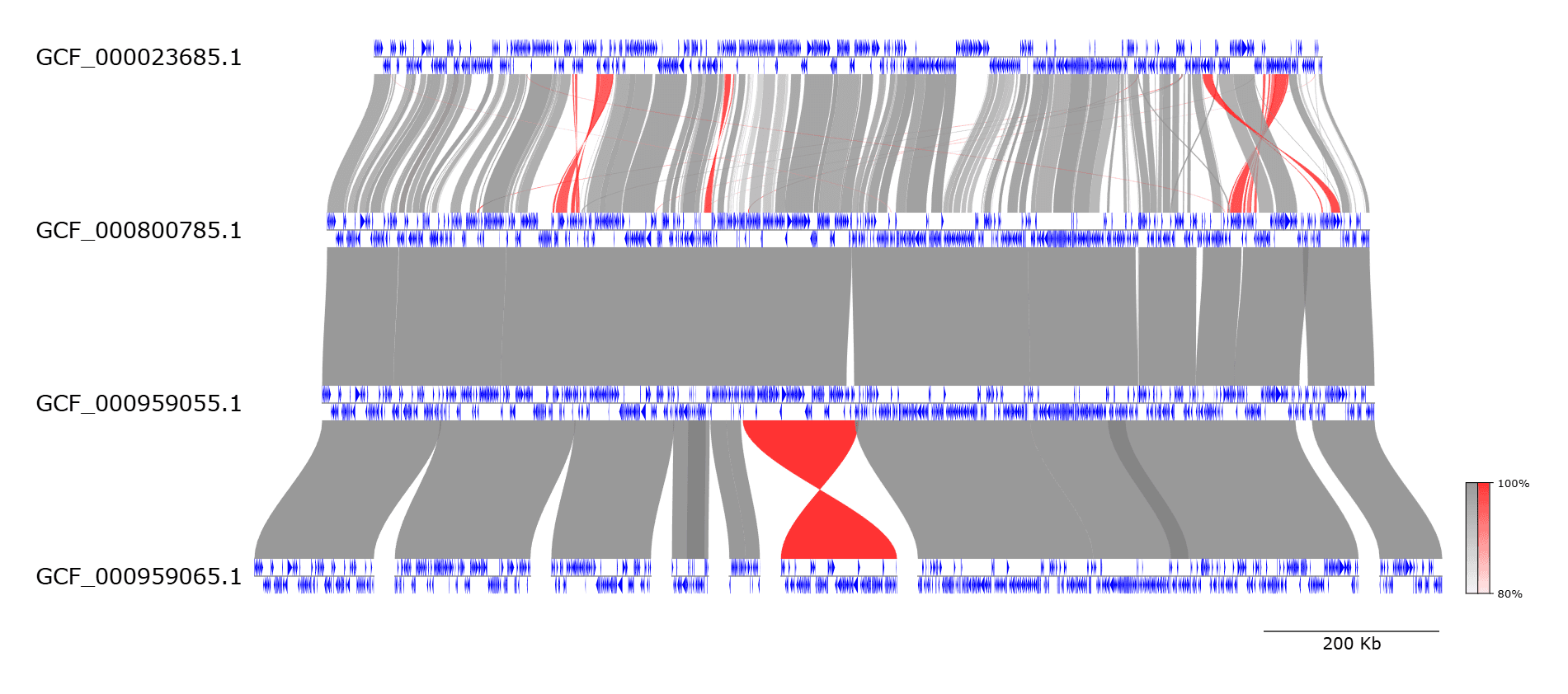 Genome Visualization screenshot